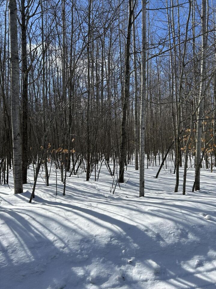 Property Photo:  Parcel ''E Woodmansee Road  MI 49721 