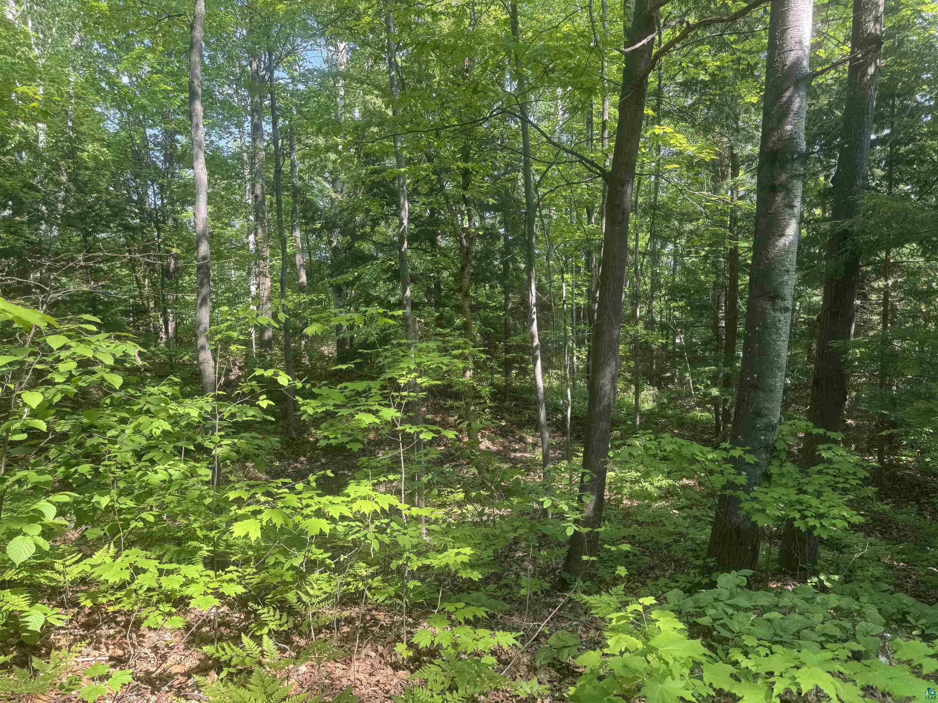 Property Photo: Tbd N 6th St WI 54814