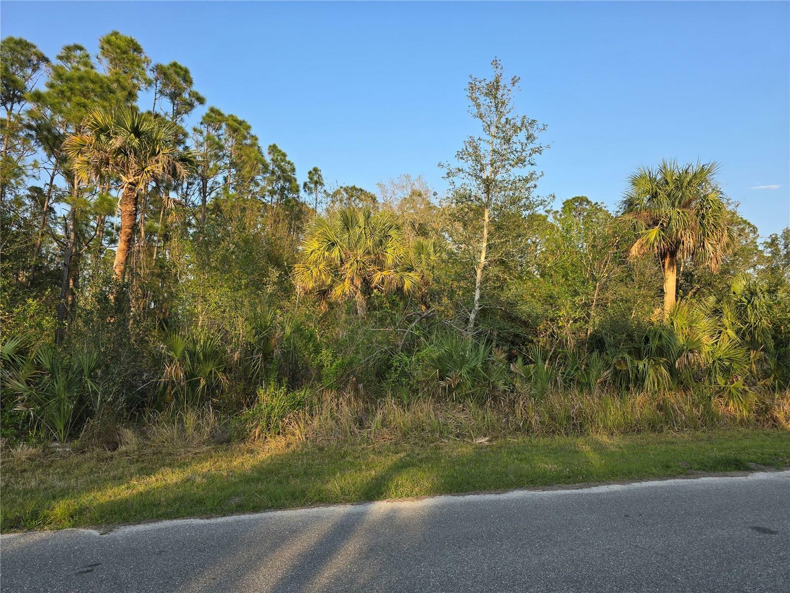 Property Photo: 356 Ramblewood Street FL 33953