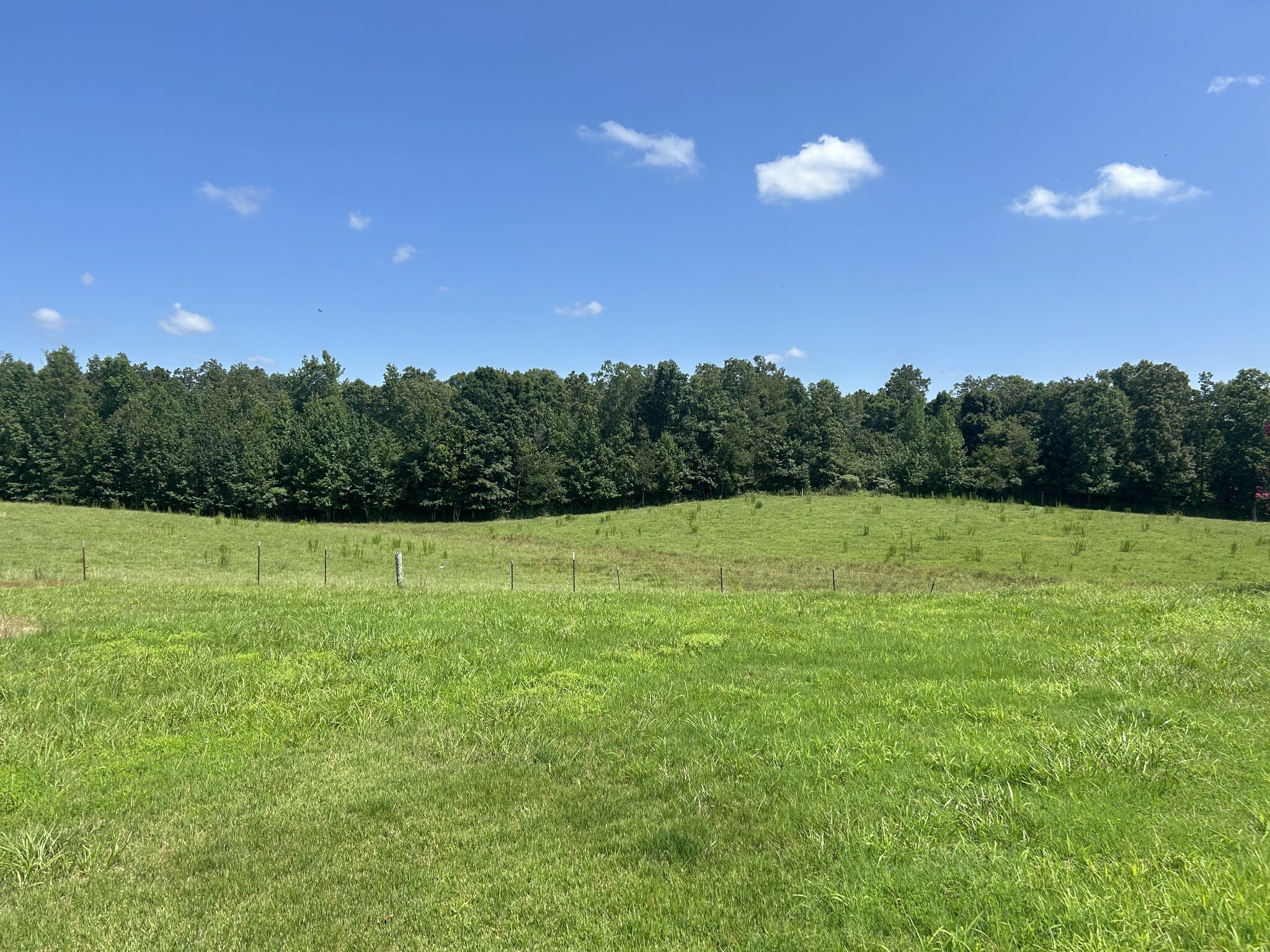 Property Photo: 3421 George Olive Rd TN 38463