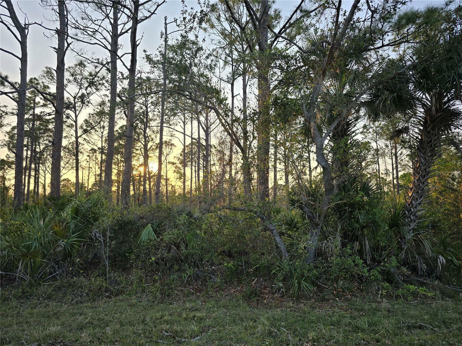 Property Photo: 2497 Hoover Street FL 33953