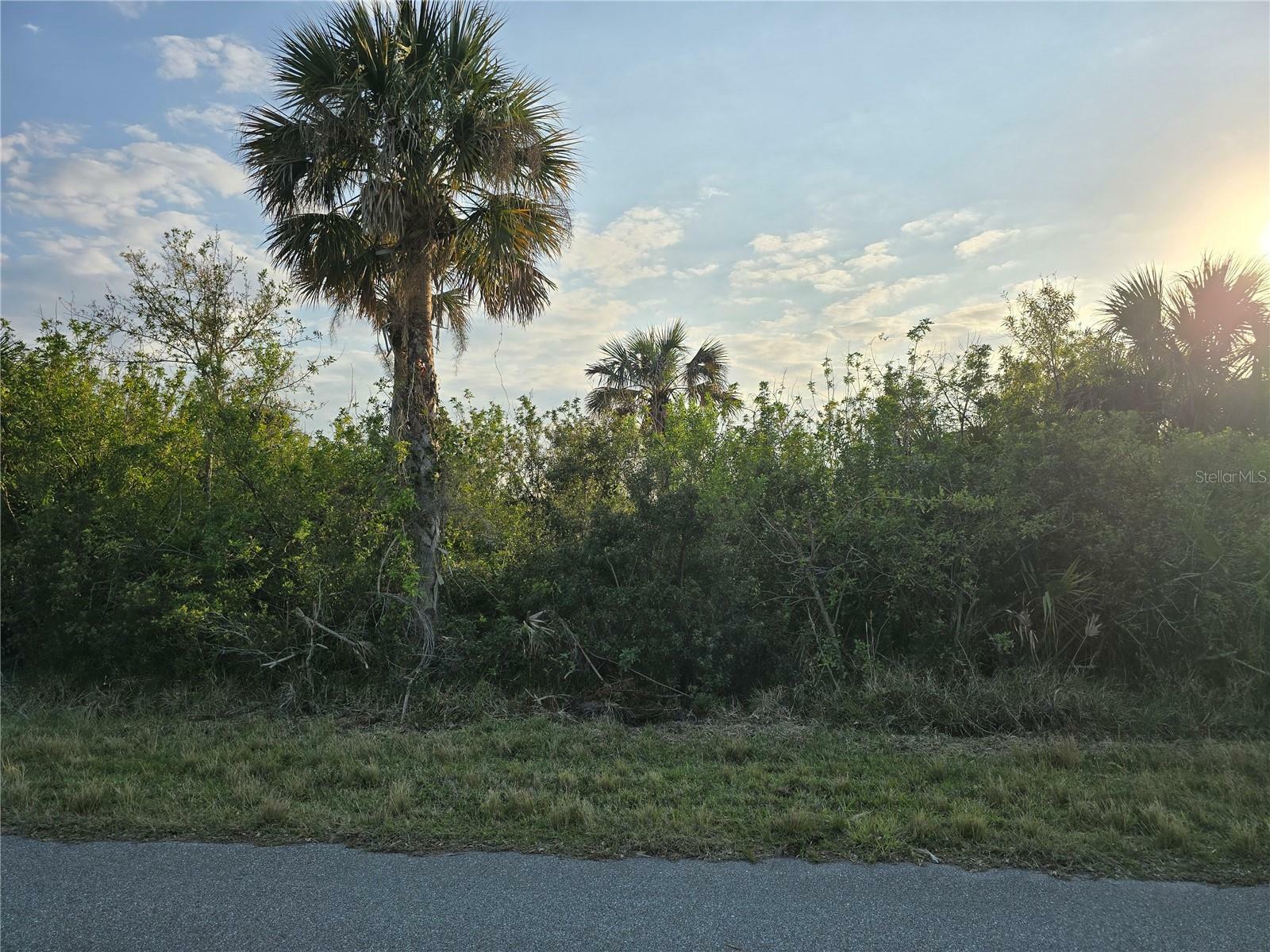 Property Photo: 12259 Cassino Avenue FL 33953