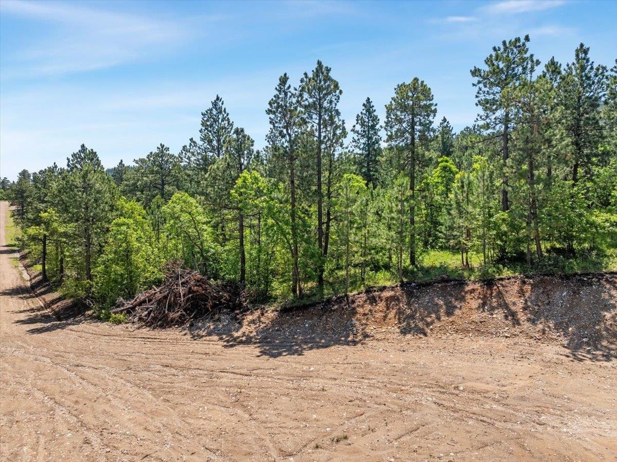 Property Photo:  Lot 4  SD 57783 