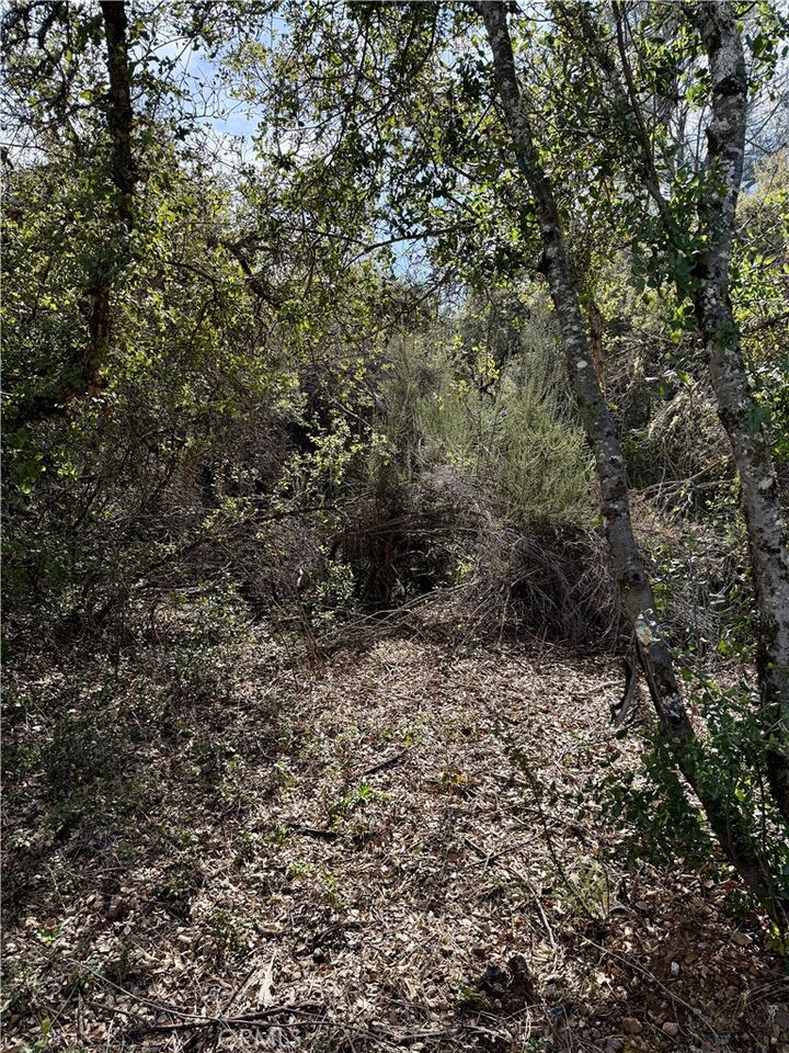 Property Photo:  6430 Plunkett Lane  CA 95451 