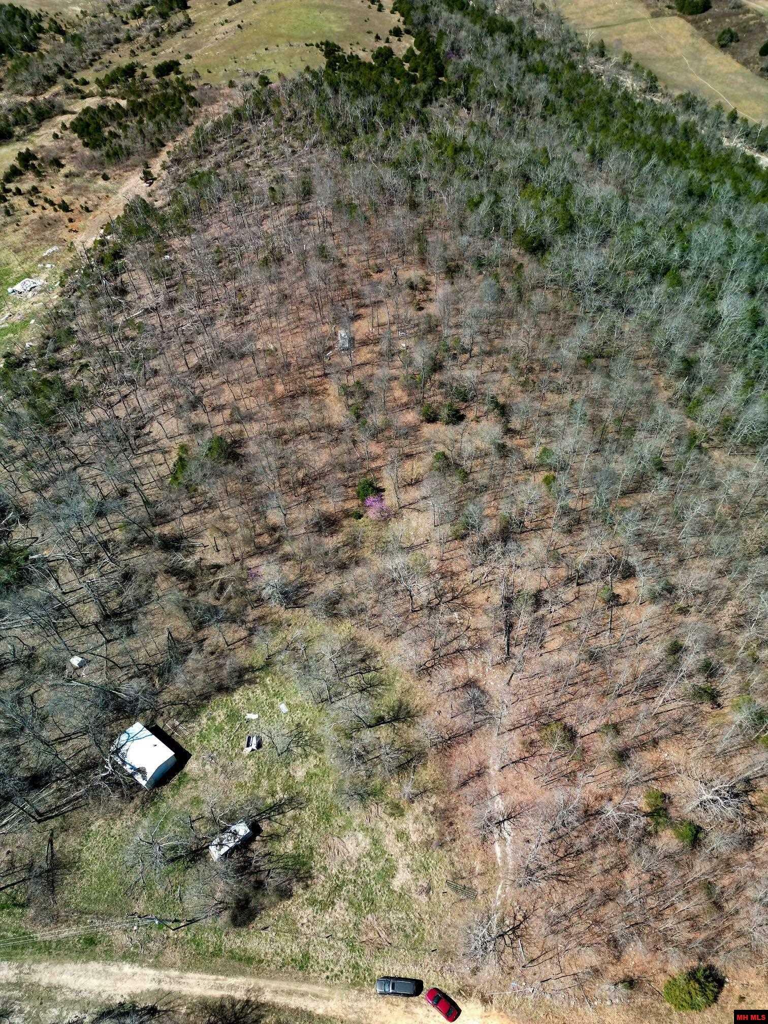 Property Photo: Lot 1 Deer Meadows Lane AR 72687