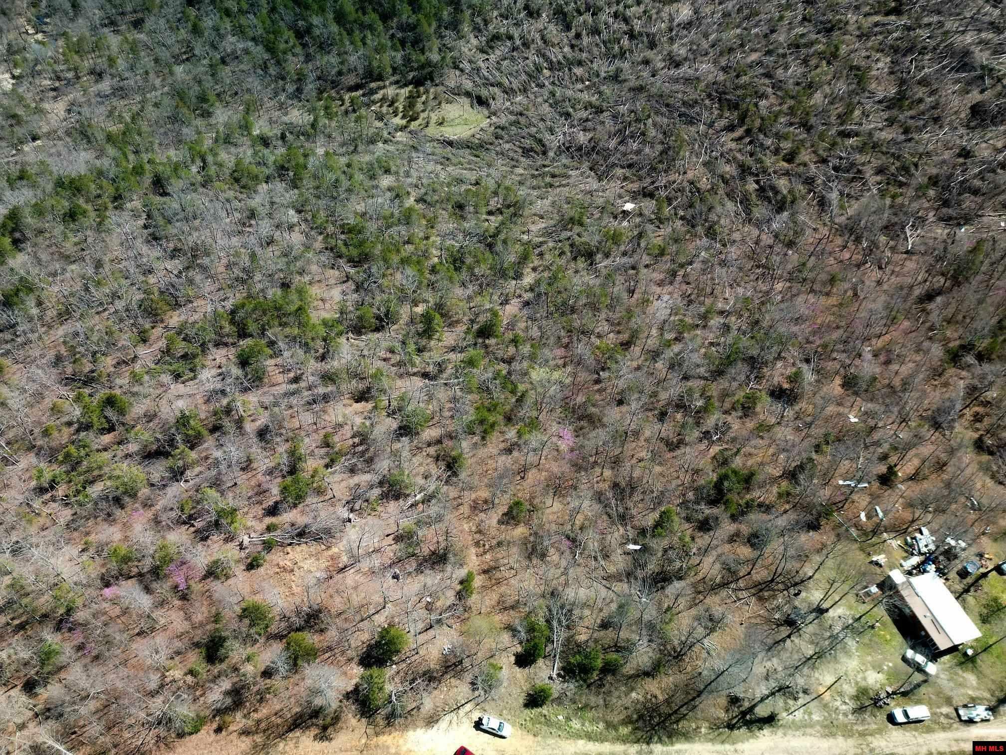 Property Photo: Lot 1 Deer Meadows Lane AR 72687