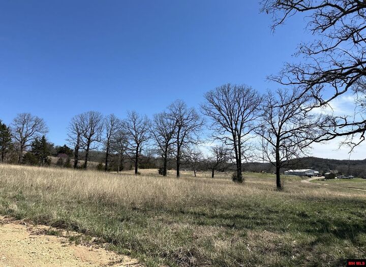 Property Photo:  Lot 1 Deer Meadows Lane  AR 72687 