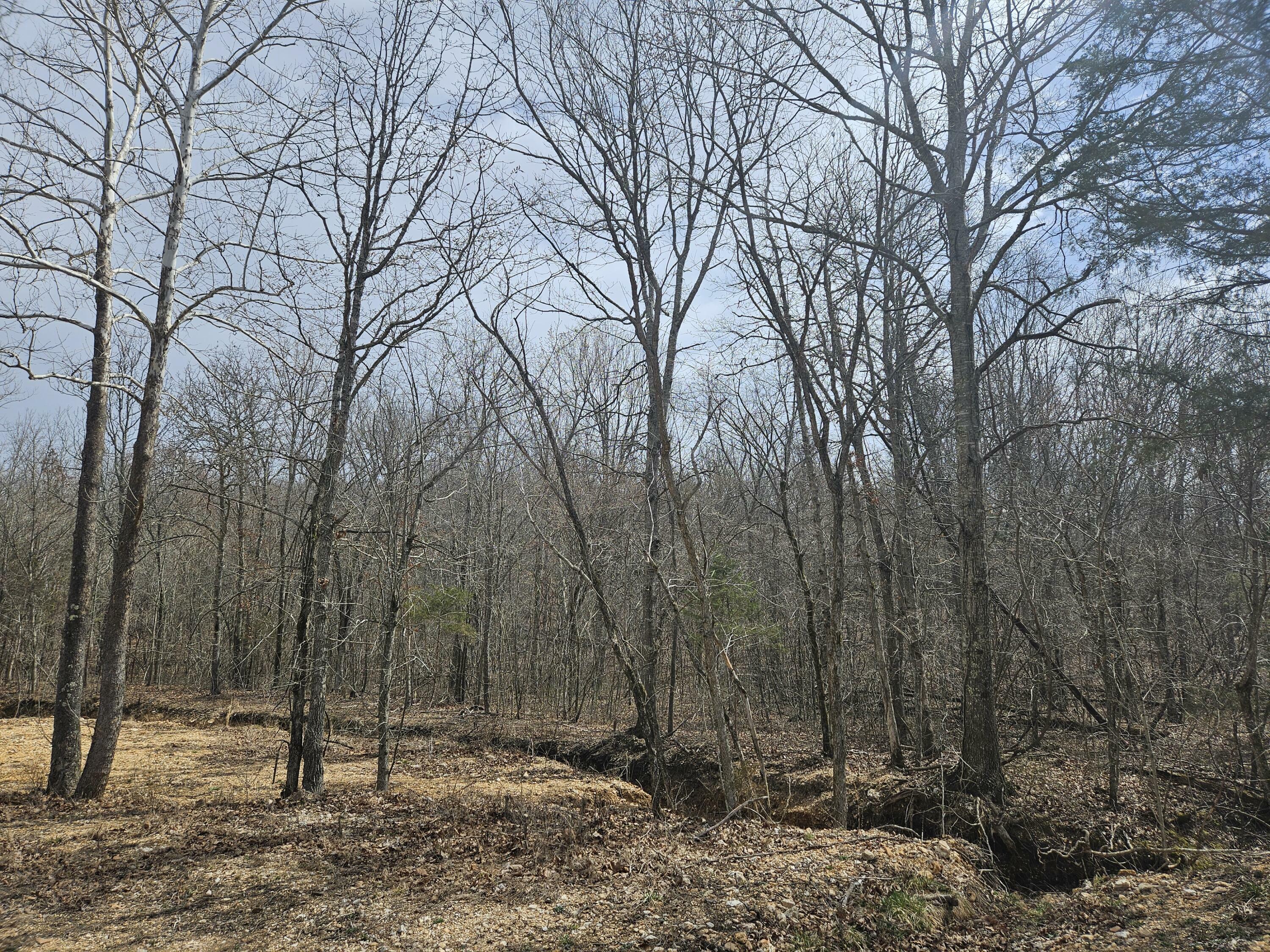 Property Photo: 000 Co Road U-112 MO 65702