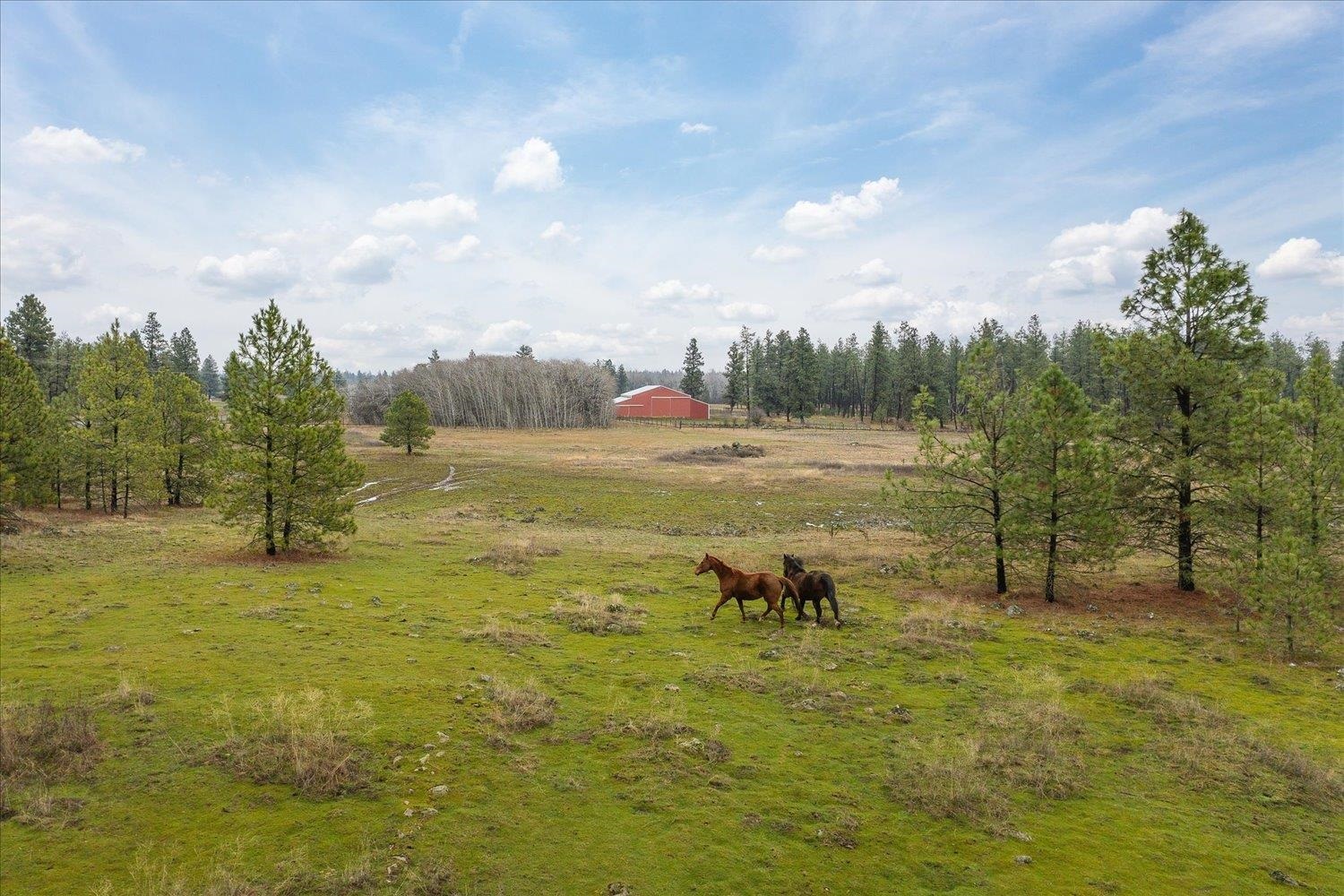 Property Photo:  102 E Cameron Rd  WA 99031 