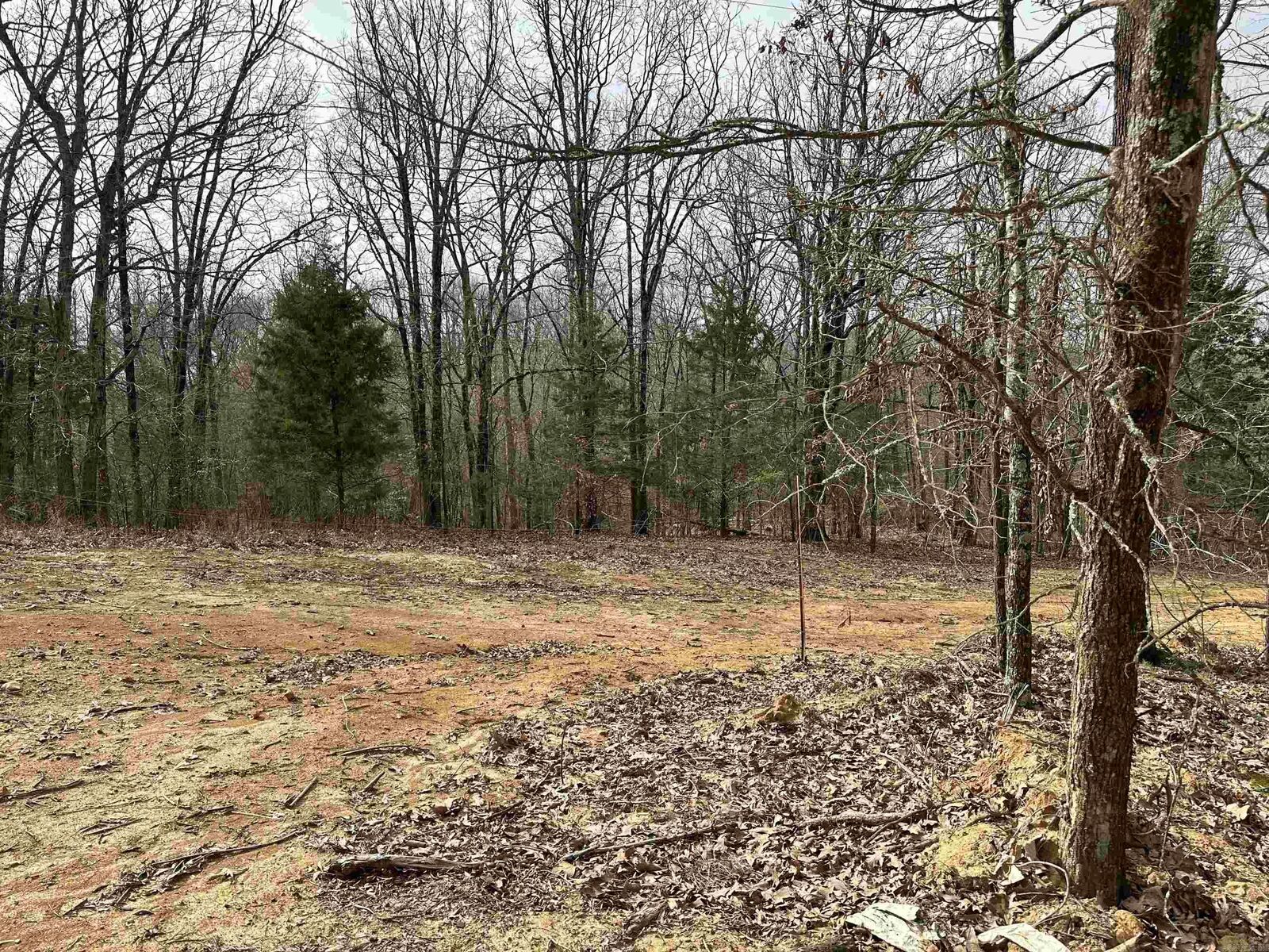 Property Photo: Lot 4 Raby Road AR 72432