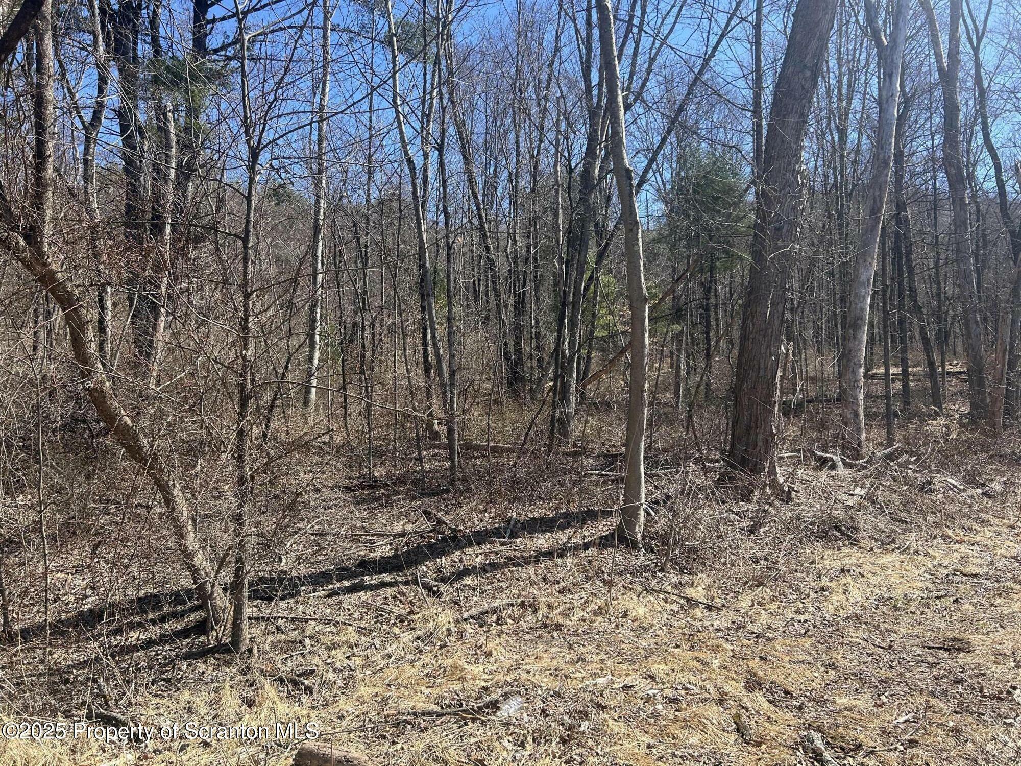 Property Photo: Lot 8 Lower Narrows Rd PA 18411
