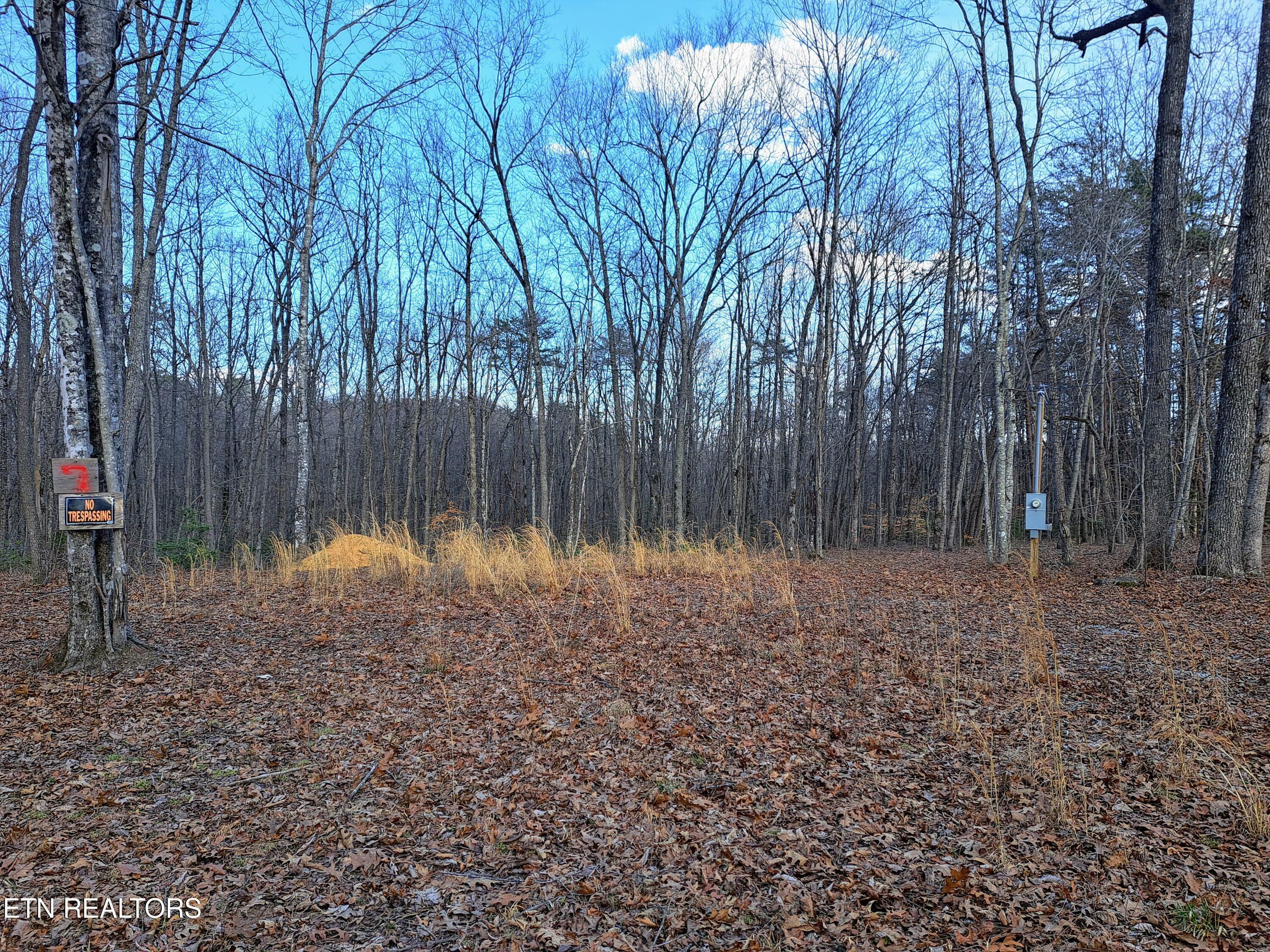 Property Photo: 541 Diane Circle TN 38572