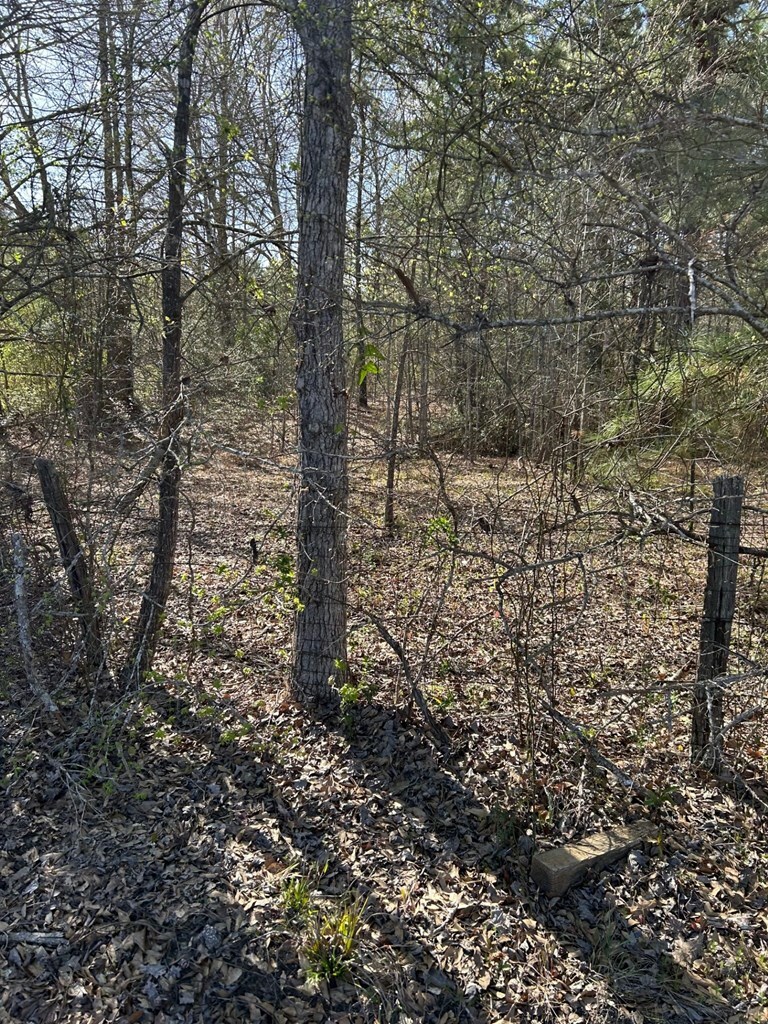 Property Photo: 538 Loving Road TX 75901