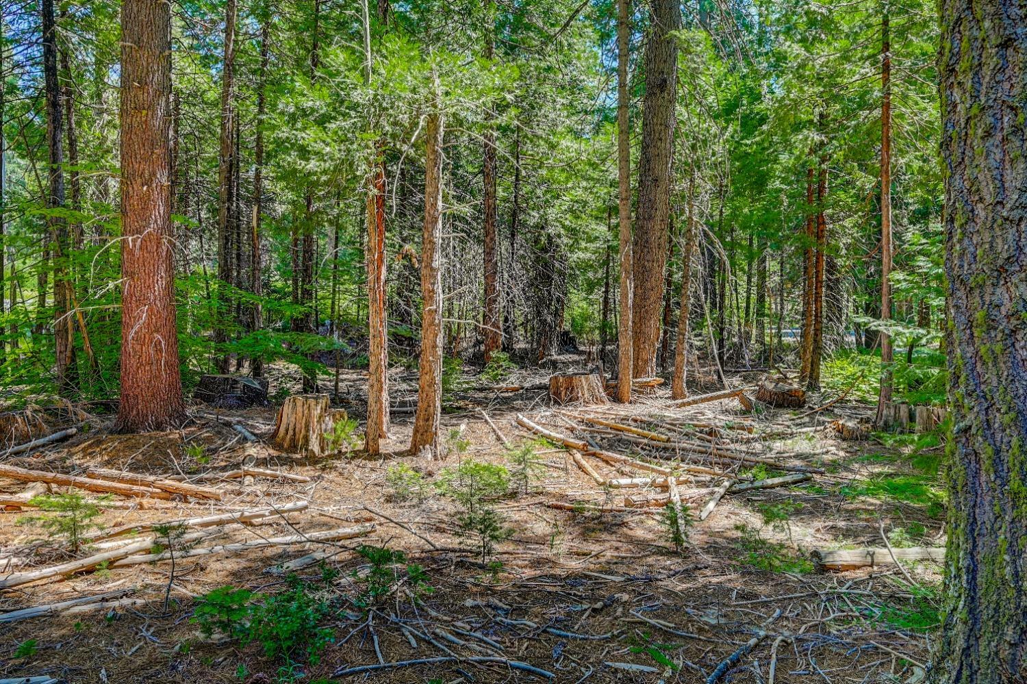 Property Photo: 10 Timber Trail Court CA 95223