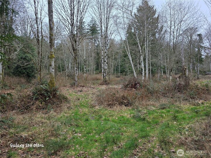 Property Photo: 0 Morning Dove Lane NE WA 98346