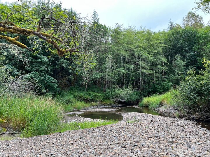 0  Longbell Road  Mossyrock WA 98564 photo