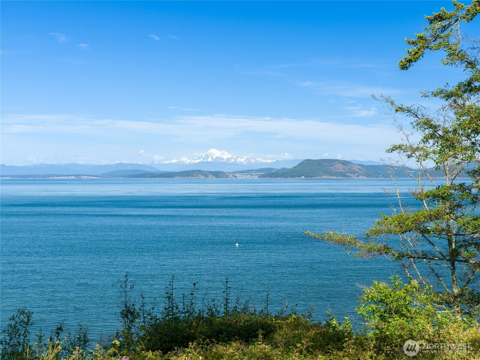 Property Photo: 373 Eliza Road WA 98261