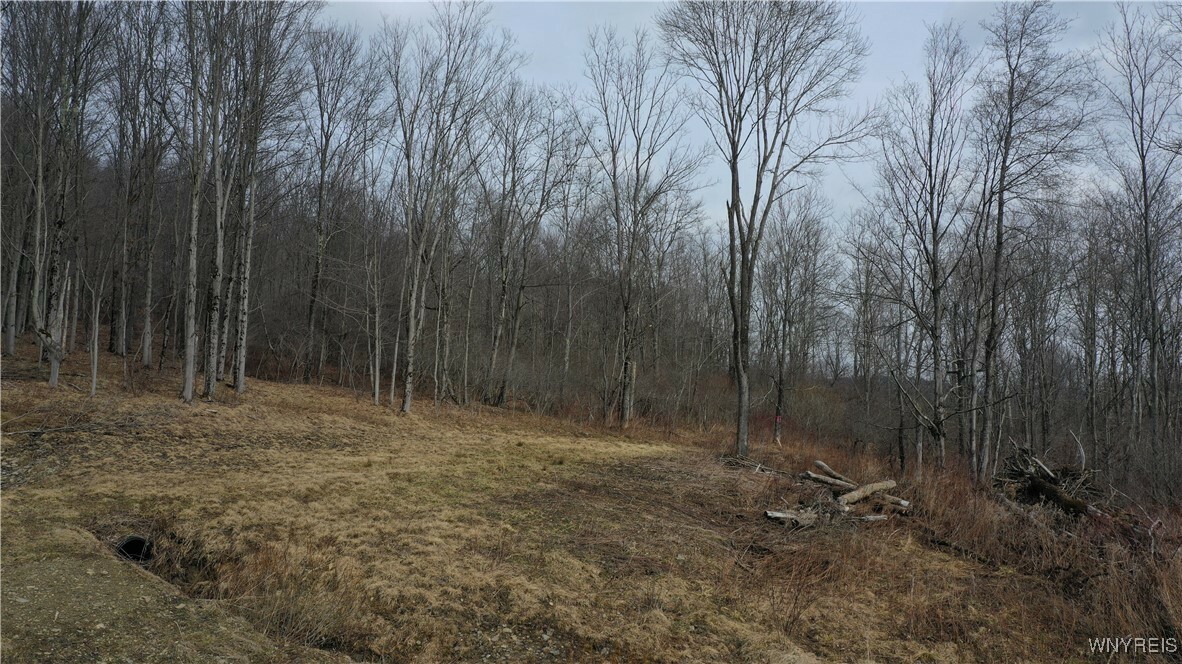 Property Photo: 10 Sundance Road NY 14731