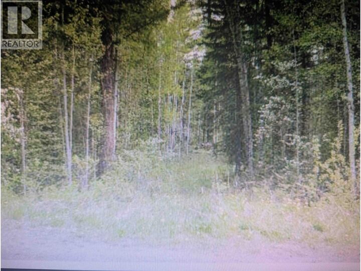Lot 24 Kokanee Road — photo 1
