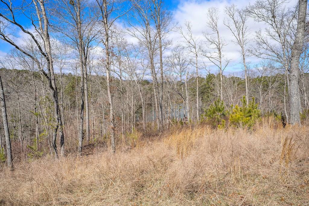 Property Photo:  Lot 163 Lecroy Drive  GA 30540 