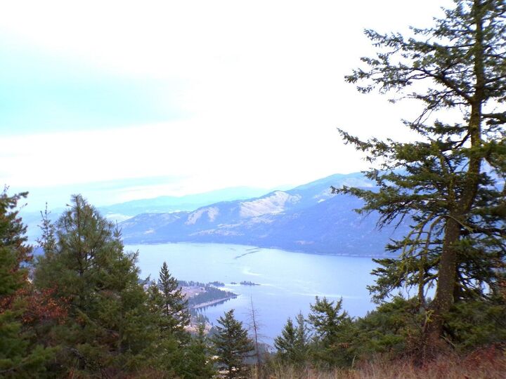 #M Morning Star Ln  Inchelium WA 99138 photo