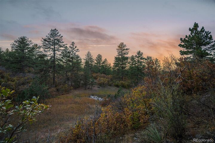 11011 Sunset Oaks Place  Franktown CO 80116 photo