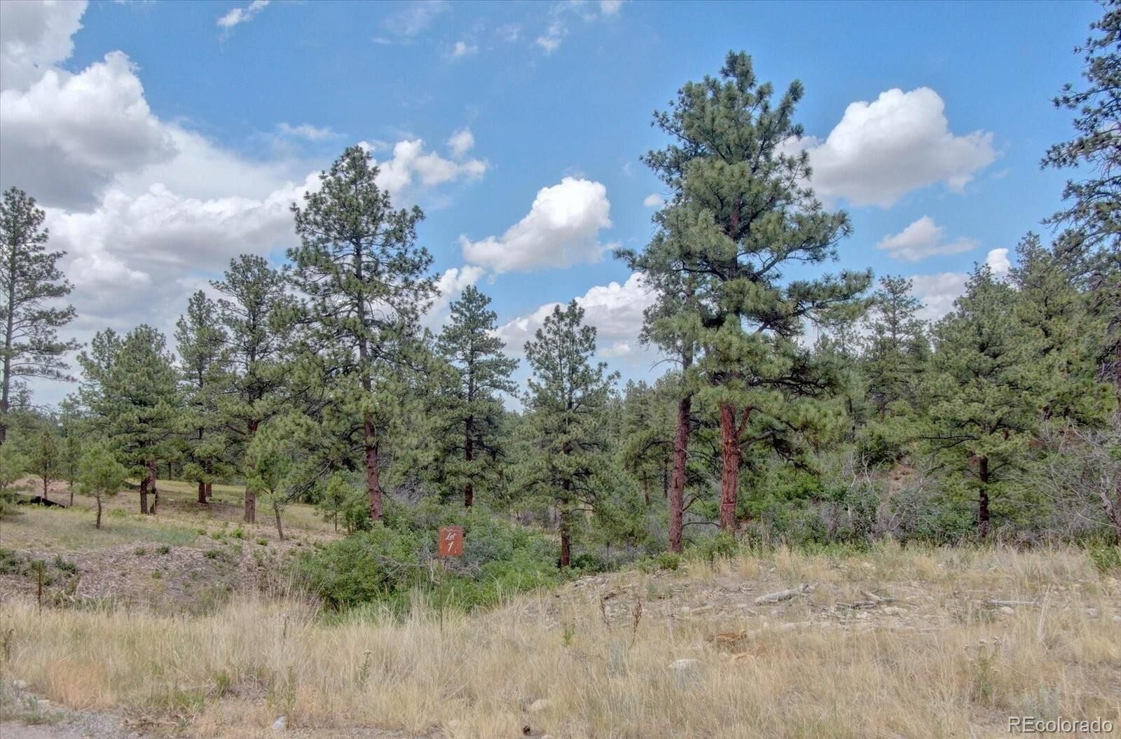 Property Photo: 11011 Sunset Oaks Place CO 80116