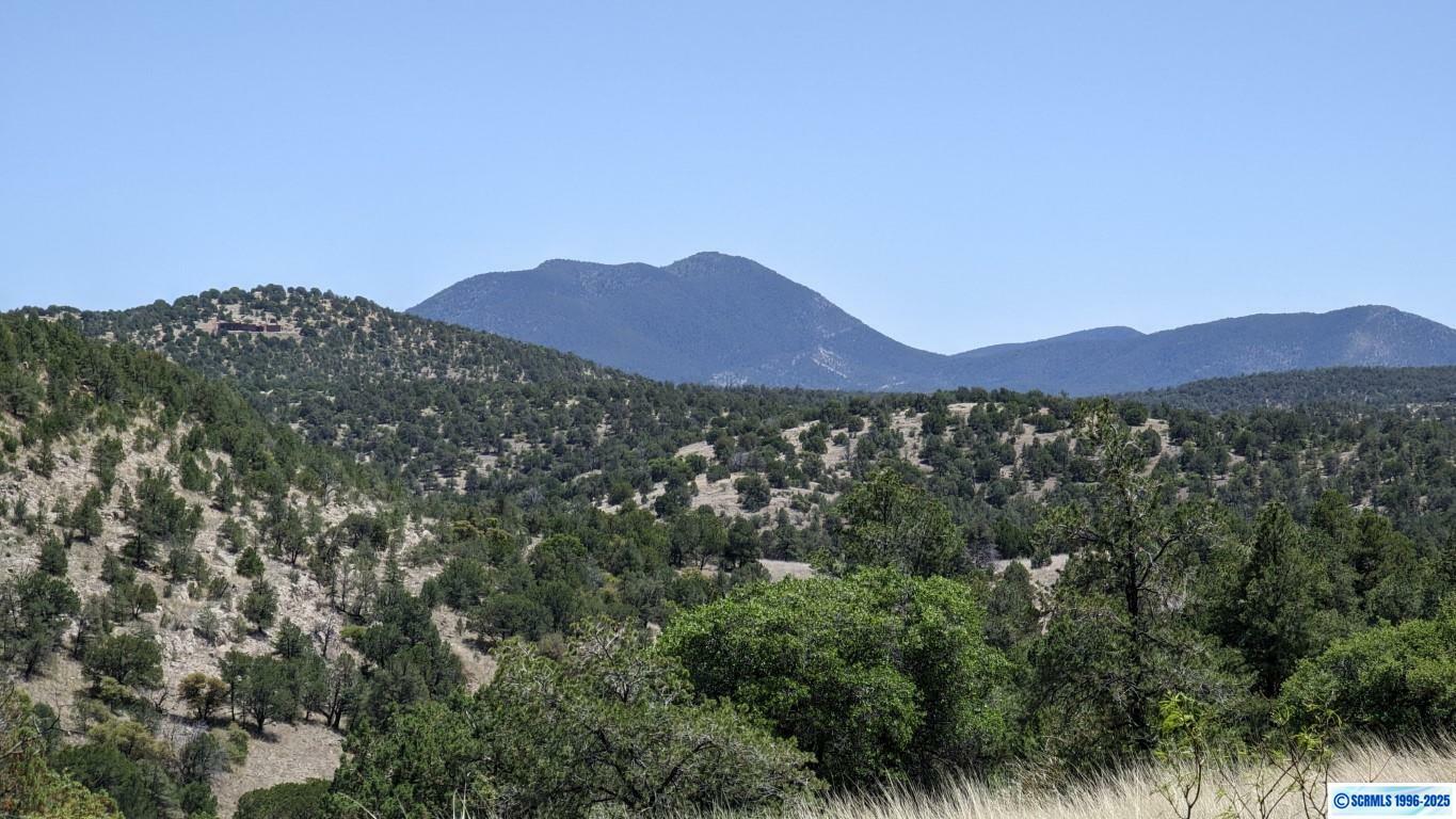 Property Photo: 3xx Old Telegraph Ridge Road NM 88061