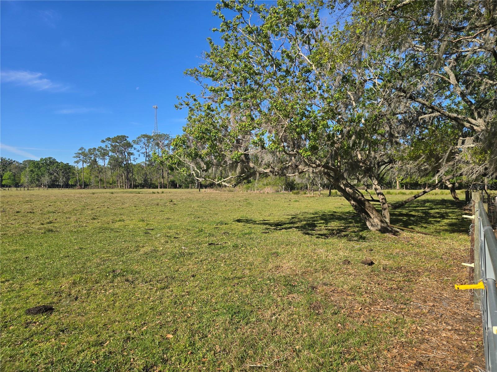 Property Photo: Johnson Road FL 33823