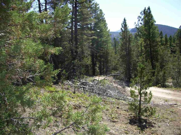 Property Photo: 179 Boarding House Flats Road MT 59858