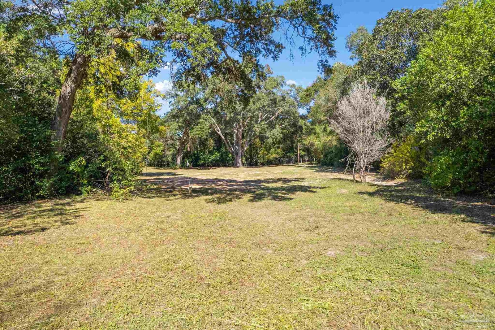Property Photo:  443 W Winthrop Ave  FL 32507 