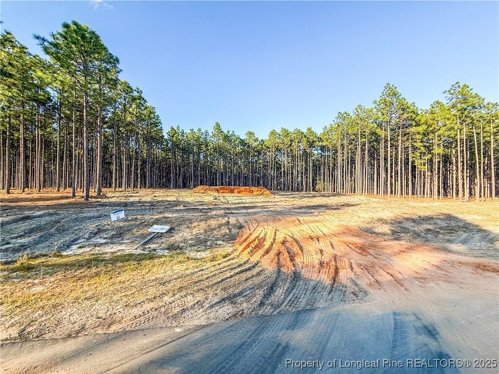 Property Photo: 964 Rhum (Lot 57) Drive NC 28311