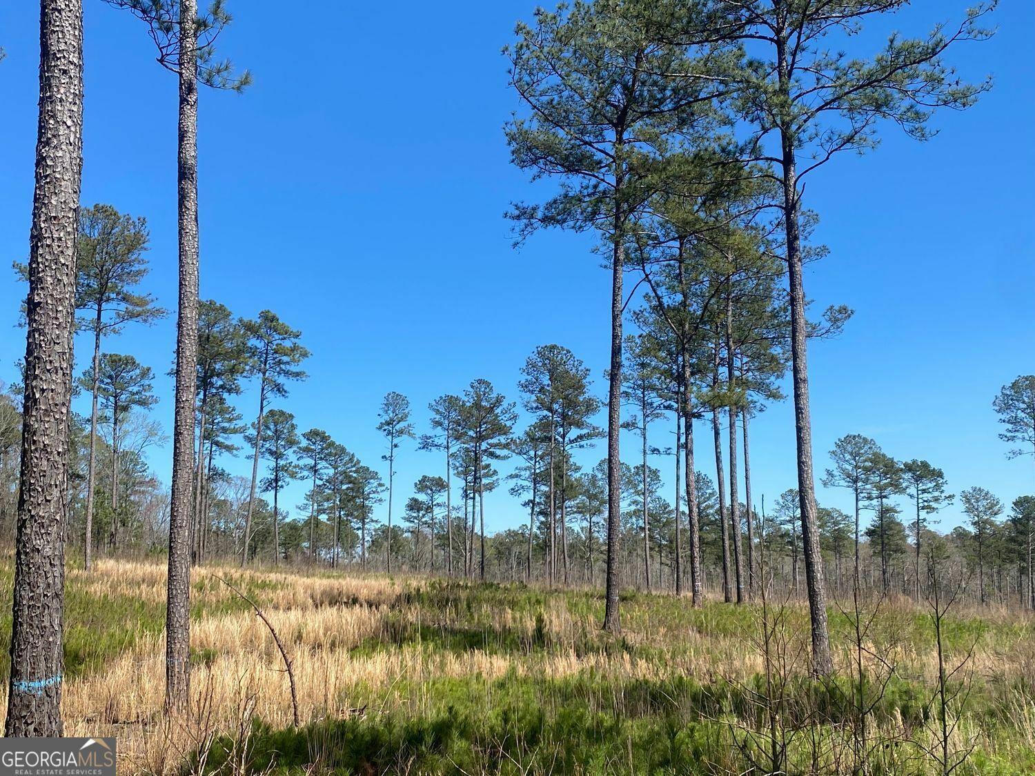 Property Photo: 726 Giles Road GA 31029