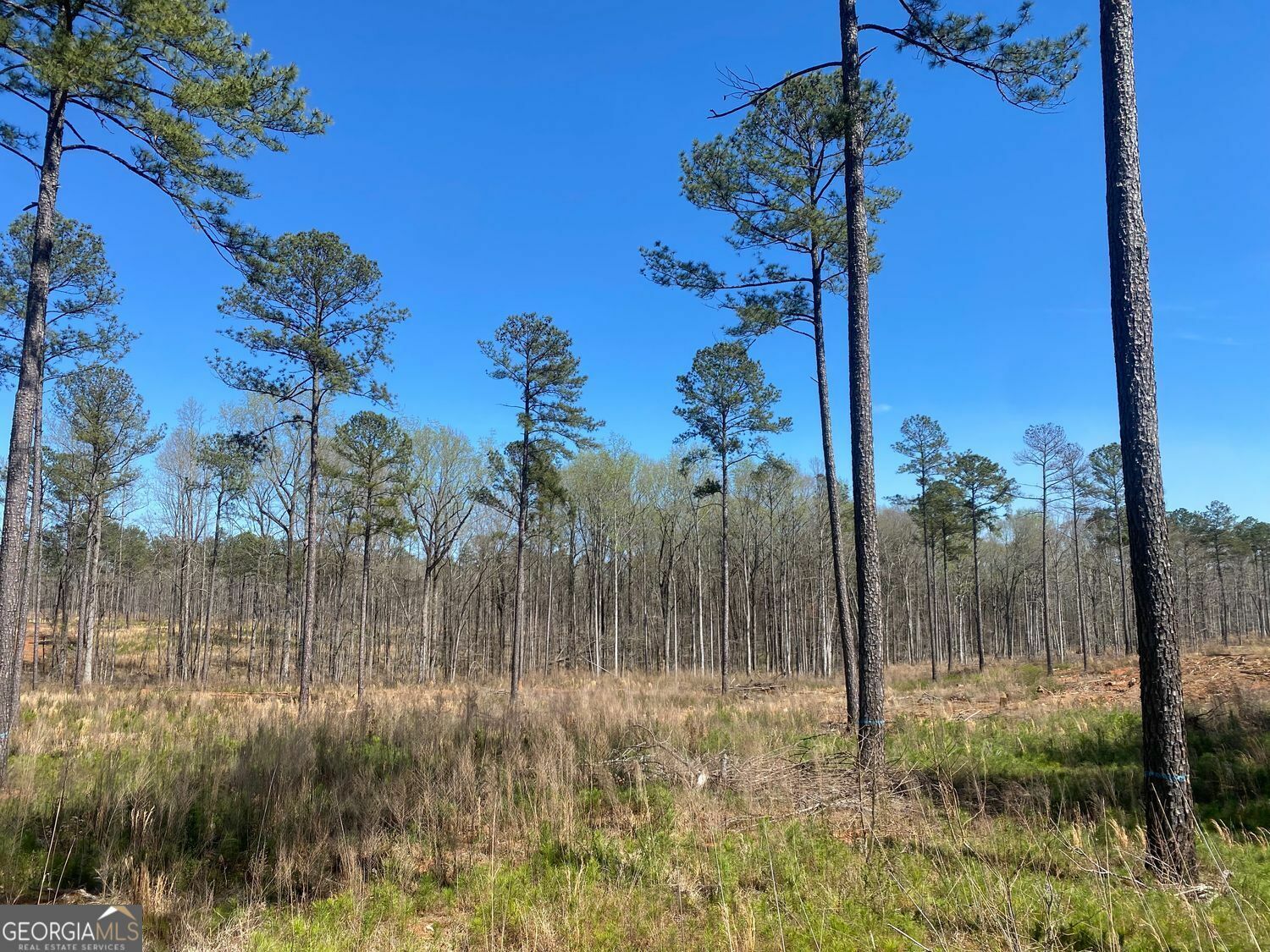 Property Photo: 671 Giles Road GA 31029
