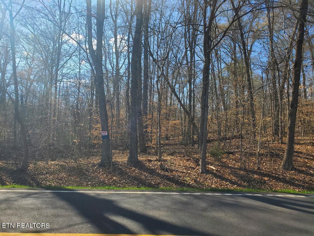 Lot 15 Highway 304  Decatur TN 37322 photo