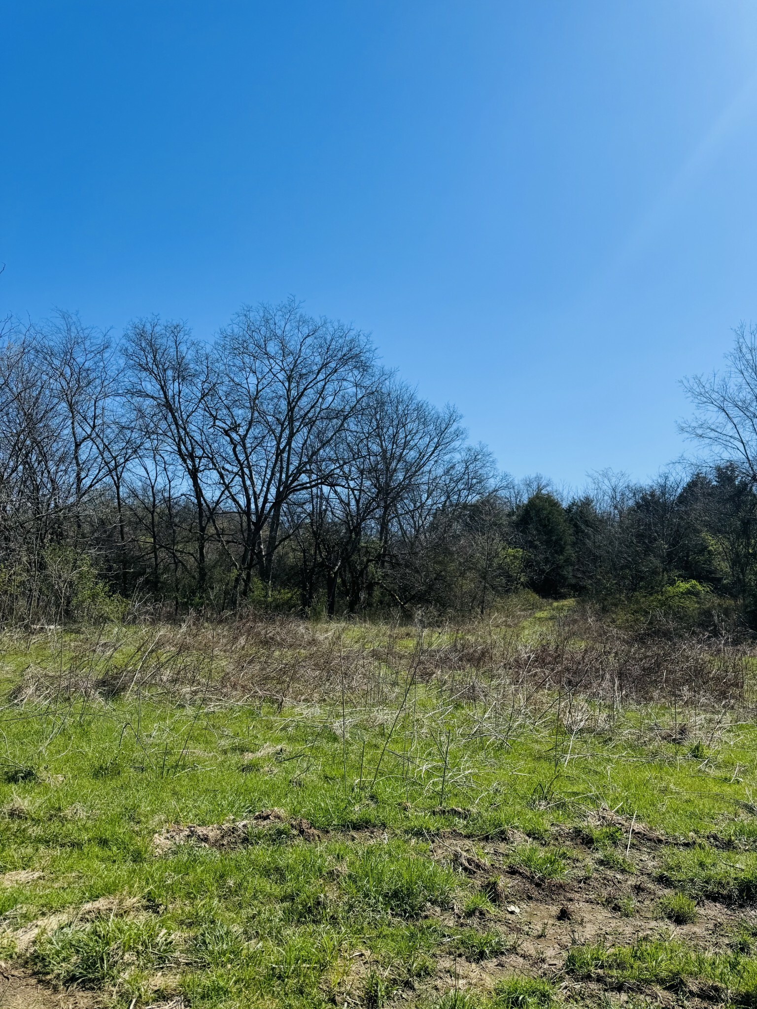 Property Photo: 0 Crews Hollow Road TN 37355