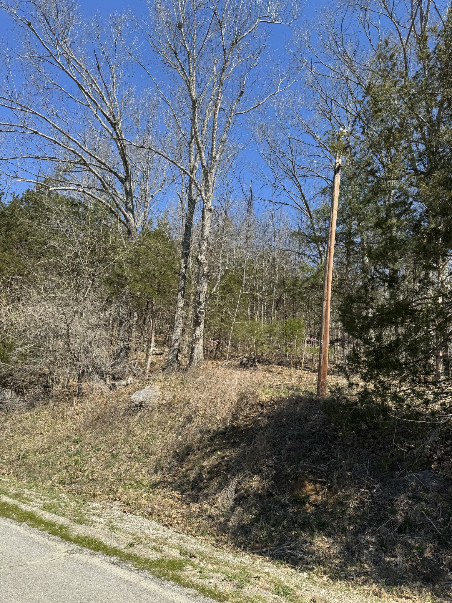 Property Photo: 0 Panhandle Road TN 37355