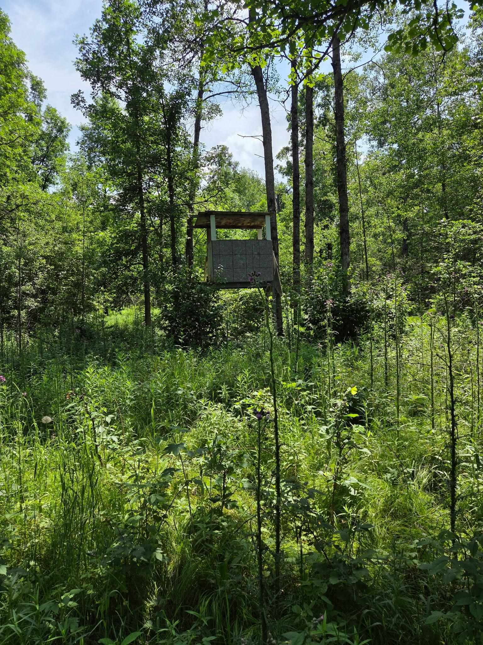 Property Photo: 10555 Easement Road WI 54542
