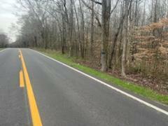 Property Photo: Lot 16 Highway 304 TN 37322