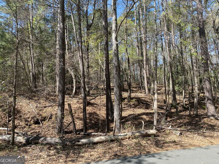 Property Photo:  0 Sandra Drive  GA 31032 