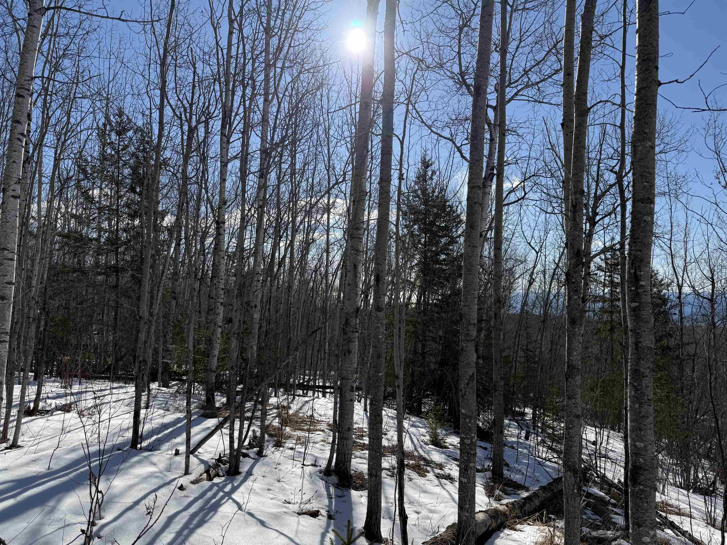 Property Photo:  X10 Murphy Dr Lot 10, Block 1  MN 55604 