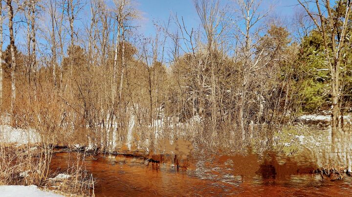 Property Photo:  19.5 Acres 9 Mile Road  MI 49645 