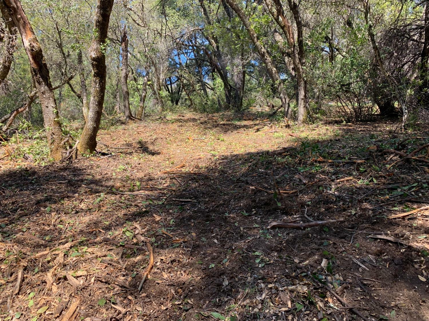 Property Photo: 5 Starburst Lane CA 95667