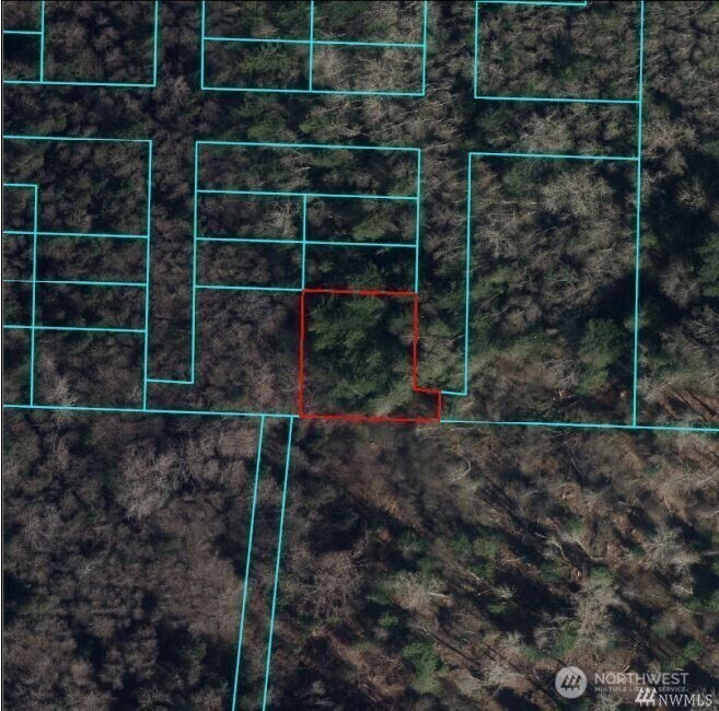 Property Photo: 0 Pine Street WA 98229