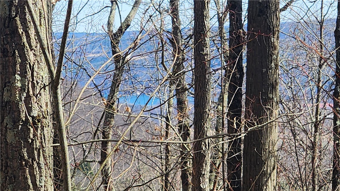 Property Photo:  County Road 13  NY 14810 