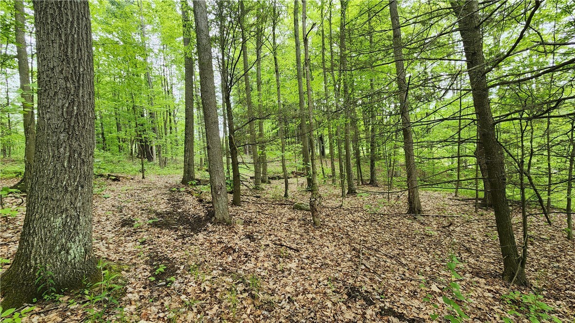 Property Photo: County Road 13 NY 14810