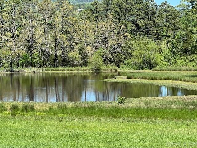 Property Photo:  164 Polk Road 714  AR 71953 