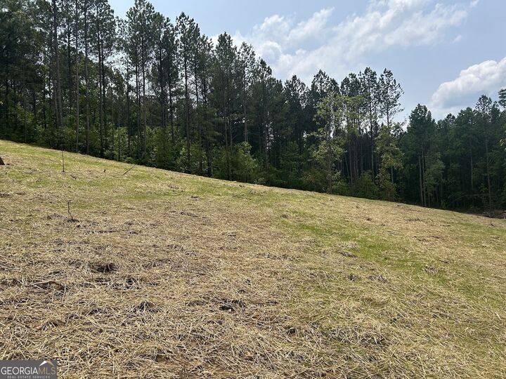 Property Photo:  223 Riversong Road  GA 30117 
