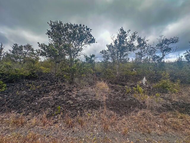 Property Photo:  Bamboo Ln  HI 96737 