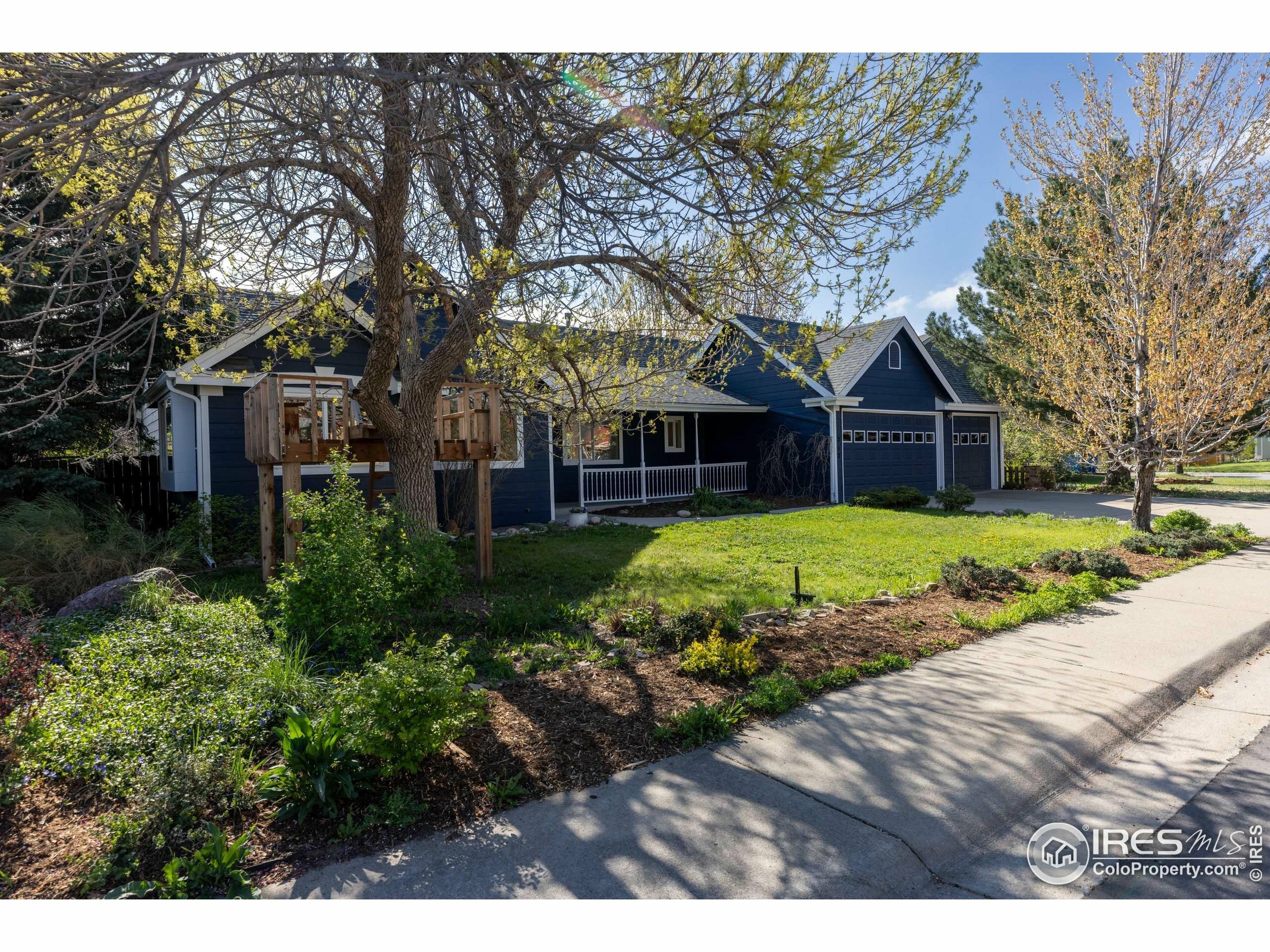 217 Welch Dr  Lyons CO 80540 photo